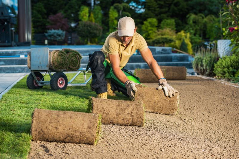 Increase Your New Lawn Installation Business with an AI Driven, Targeted Website