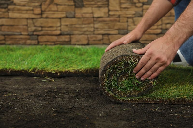 New Lawn Installation