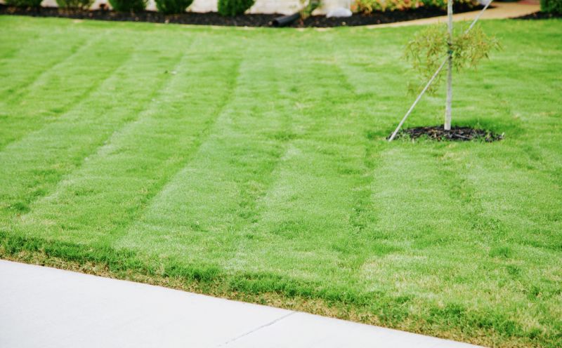 New Lawn Installation