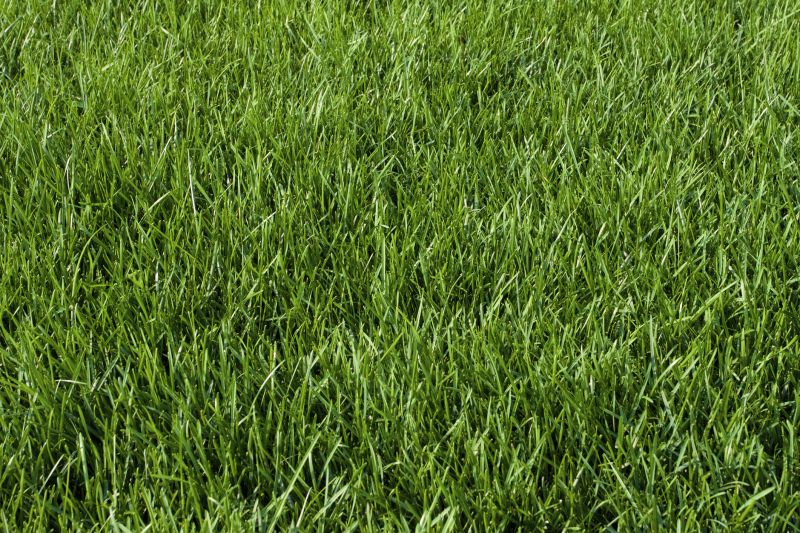 Grass Type Selection