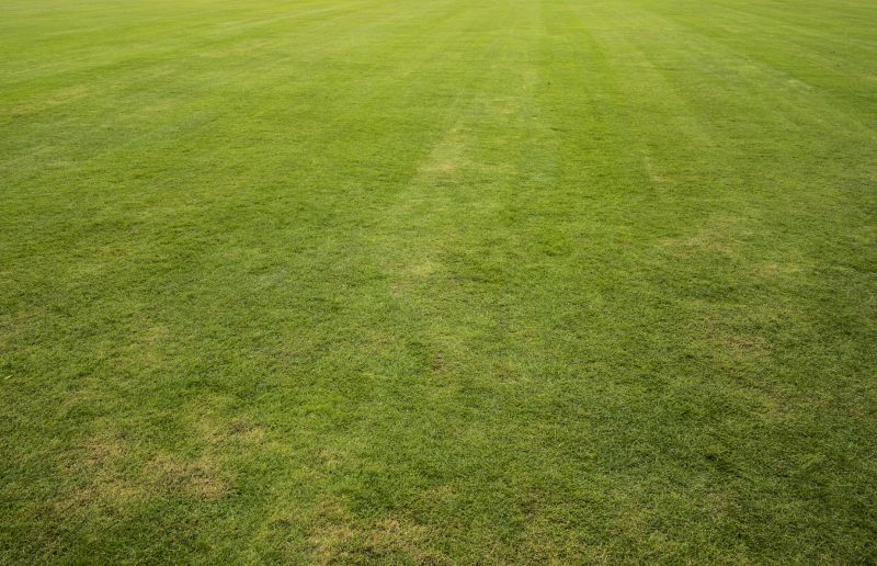 New Lawn Installation