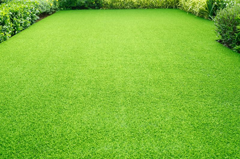 New Lawn Installation