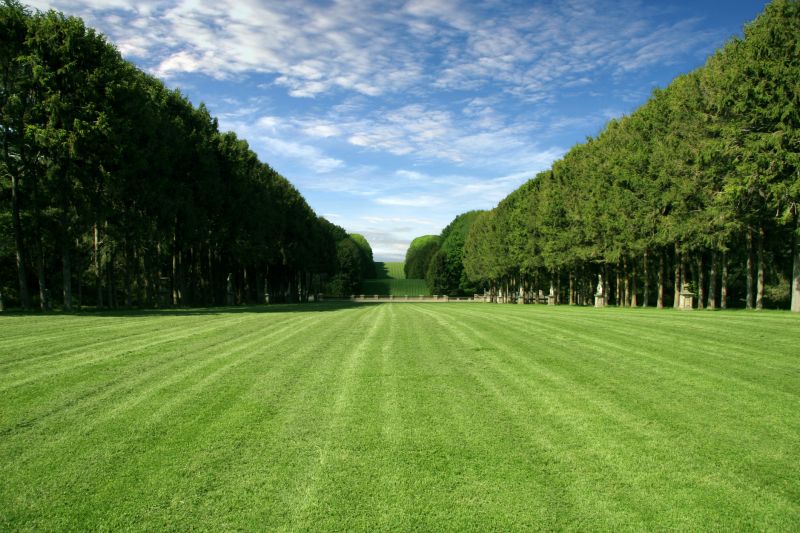 New Lawn Installation