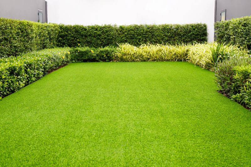 New Lawn Installation