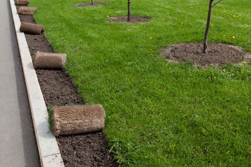 Lawn Repair with Sod