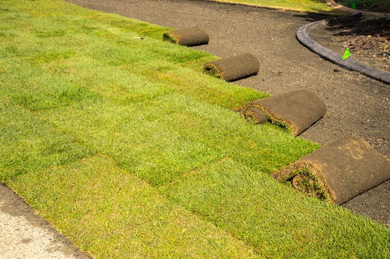 Seasonal Sod Installation
