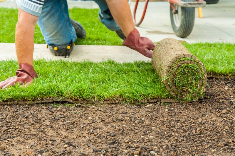 Sod Installation in Ventura County, CA