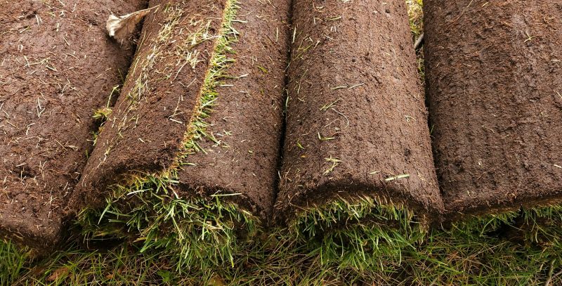 Sod Replacement in Honolulu, HI