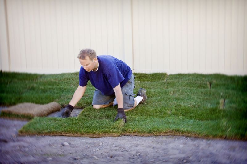 Yard Sod Installation in Ventura County, CA